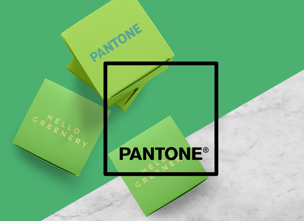 Packaging Greenery MAX