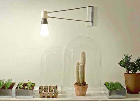 Plumen 002 botanist 3 DOUBLE